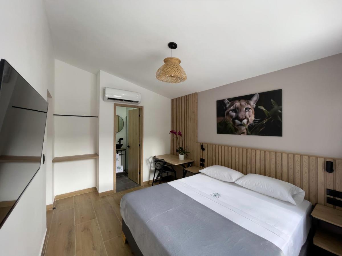 Vita Hotel Boutique Medellin Bagian luar foto